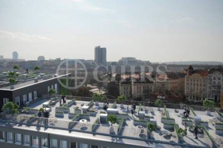 Prodej bytu 2+1/T, 110 m2,ul. Perucká 2483/9, P2 Vinohrady