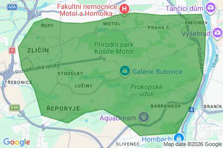 Hledá pronájem bytu 1+kk/2+kk