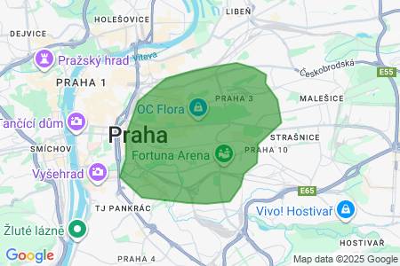 Hledám  k pronájmu byt, 20 až 40m2, , Kolesnikova