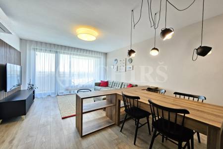 Pronájem bytu 2+kk, balkón, garážové stání, sklepy, OV, 61m2, ul. U Borského parku, Plzeň