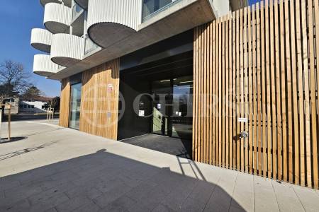 Pronájem bytu 2+kk, balkón, garážové stání, sklepy, OV, 61m2, ul. U Borského parku, Plzeň