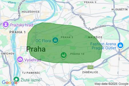 Hledám byt k pronájmu, 1+kk, 1+1, Praha 3 a okolí, pí. Grillová