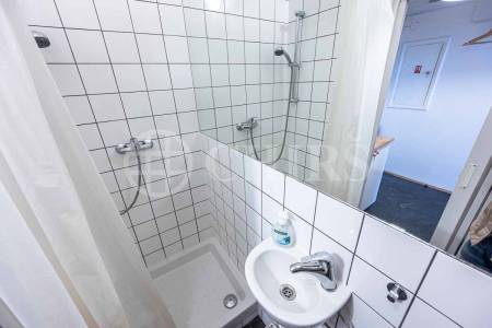 Prodej ateliéru 1+kk, OV, 28m2, ul. Lucemburská, Praha - 2 Vinohrady