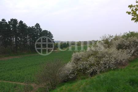 Prodej RD 6+kk, OV, 350m2, ul. Koterovská, Praha 5 - Řeporyje