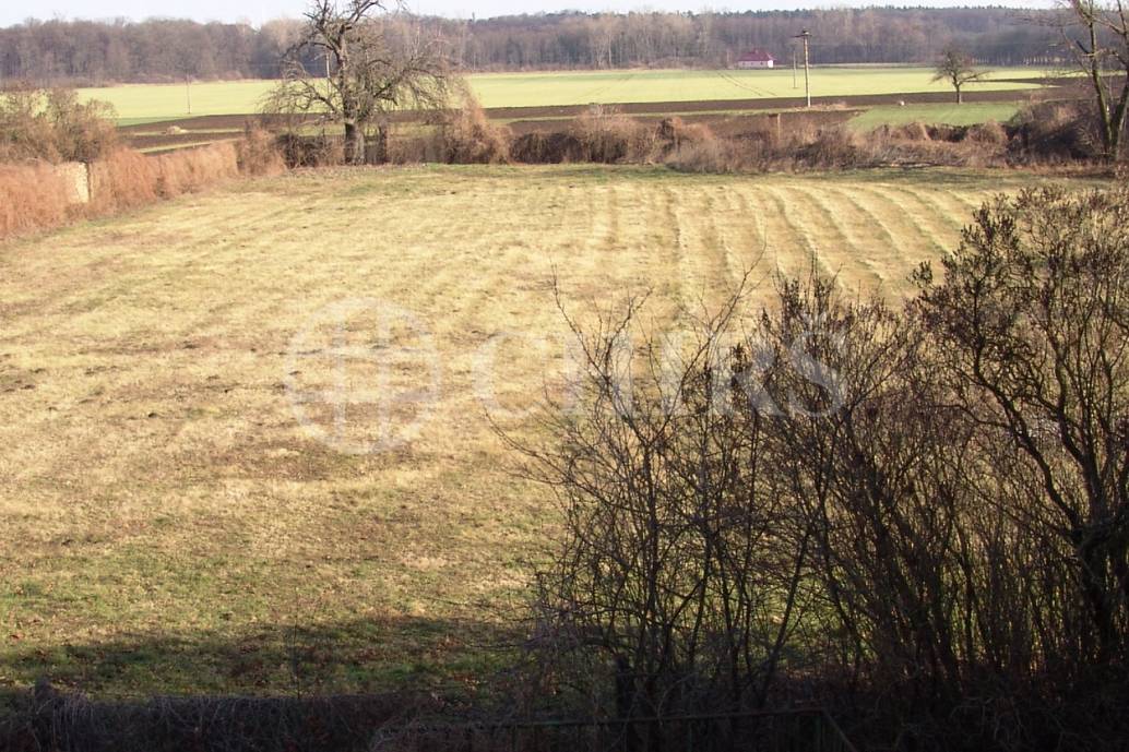 Prodej dominikánského kláštera , 3 500m2, Nové Dvory u Kutné Hory