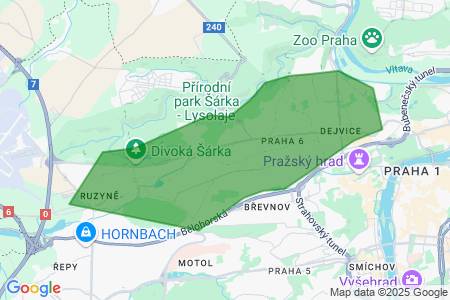 Hledám  k pronájmu byt, 20 až 300m2, , Ramirezová