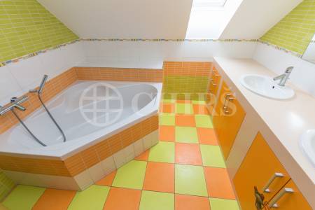 Prodej rodinného domu 6+1, 360 m2 s terasou,  zahradou, bazénem a garážovým stáním, Trnová 179, Trnová u Jíloviště 