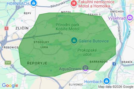 Hledám  k pronájmu byt, 25 až 46m2, , Floriánová