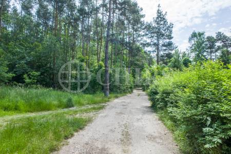 Prodej chaty 2+kk, OV, cca 60m2, Plzeň - sever, přehrada Hracholusky (obec Čerňovice)