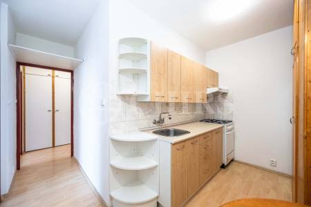 Prodej bytu 2+kk s lodžií, DV, 45m2, ul. Slévačská 902/11, Praha 9 - Hloubětín