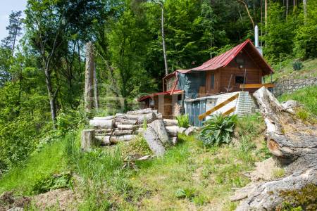 Prodej chaty, cca 45 m2, pozemek 890 m2, Kaliště u Sázavy