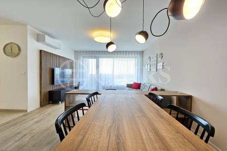 Pronájem bytu 2+kk, balkón, garážové stání, sklepy, OV, 61m2, ul. U Borského parku, Plzeň