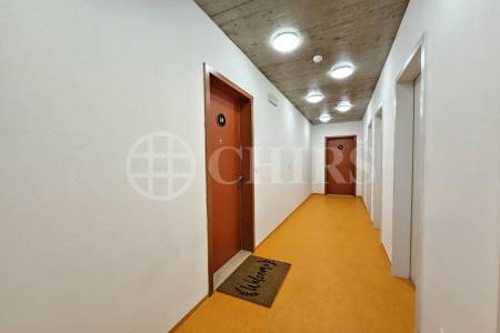 Pronájem bytu 2+kk, balkón, garážové stání, sklepy, OV, 61m2, ul. U Borského parku, Plzeň