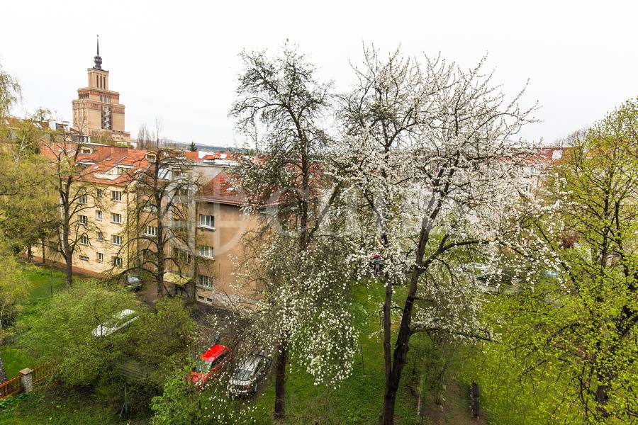 Pronájem bytu 1+1, OV, 38m2, ul. Zemědělská 1573/4, Praha 6 - Dejvice