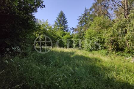 Prodej pozemků, 4180 m2, Panské Mlýny, Černovice u Pelhřimova. 