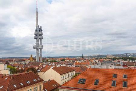 Prodej ateliéru 1+kk, OV, 28m2, ul. Lucemburská, Praha - 2 Vinohrady