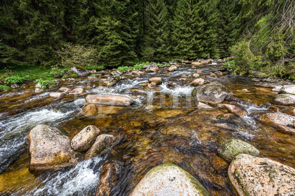 Prodej penzionu, 12 apartmánů, restaurace, OV, 4538m2, Kořenov, Jablonec nad Nisou, Liberecký kraj