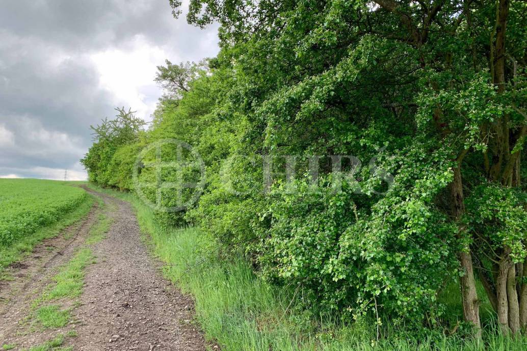 Prodej pozemku 2046m2, Za Školou, Bystřany, okr. Teplice