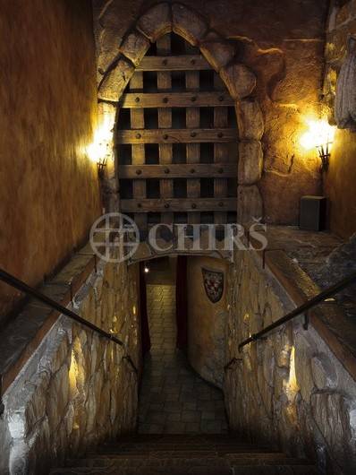Restaurace v centru Prahy (Vinohrady, 300m od Václavského nám.) na prodej Praha 2 Vinohrady