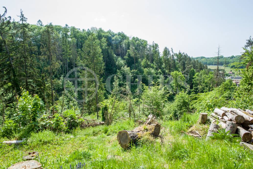 Prodej chaty, cca 45 m2, pozemek 890 m2, Kaliště u Sázavy