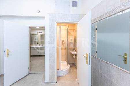 Pronájem komerčního prostoru, OV, 108 m2, ul. Salmovská 1517/14, Praha 2 - Nové město