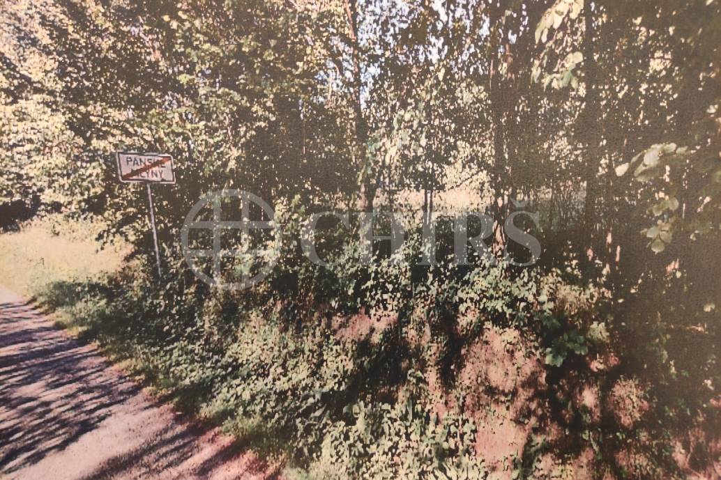 Prodej pozemků, 4180 m2, Panské Mlýny, Černovice u Pelhřimova. .