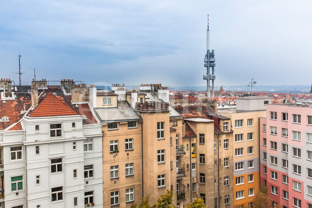 Prodej bytu 3+kk/T, OV, 100m2, ul. Jičínská  1613/11, Praha 3 - Žižkov