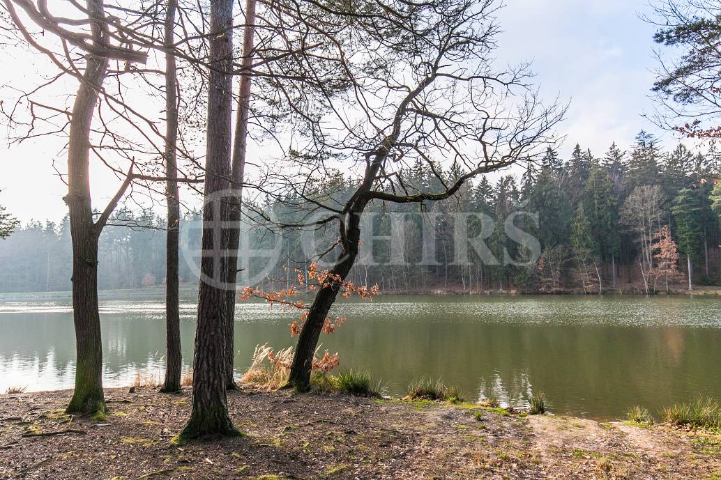 Prodej vily 8+1, OV, 696m2, ul. Pražská 78, Jevany, Praha - východ