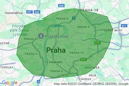 Hledám  k pronájmu byt, 20 až 40m2, , Baslerová
