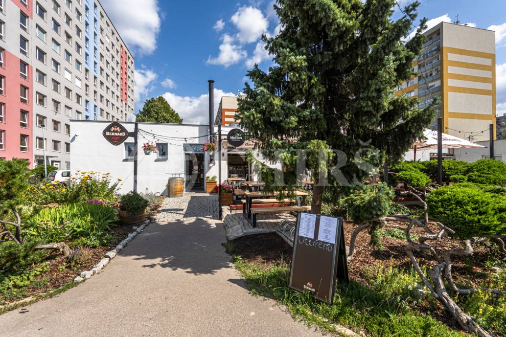 Pronájem bytu 1+1 s lodžií, OV, 52,7 m2, ul. Na Chobotě 1344/4, Praha 6 - Řepy 