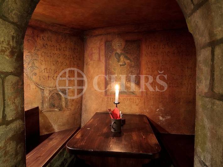Restaurace v centru Prahy (Vinohrady, 300m od Václavského nám.) na prodej Praha 2 Vinohrady