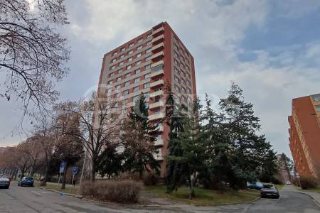 Pronájem bytu 1+KK, OV, 27m2, ul. Narcisová 2849/6, P-10 Záběhlice
