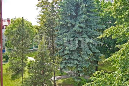 Prodej bytu 1+1 se sklepem, OV, 53 m², ul. Zavadilova 96/14, Praha 6 – Dejvice.