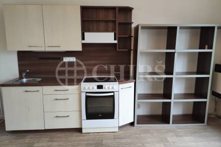 Pronájem nebytové jednotky 1+1, OV, 48 m2, Na lysině 492/2, P-4, Podolí.