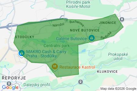 Koupím byt 3+kk, 3+1, Praha 13, Nové Butovice, Hůrka, Lužiny, p. Ha.