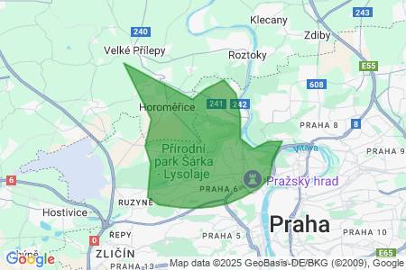 Hledám  k pronájmu byt, 60 až 150m2, , Holcnerová