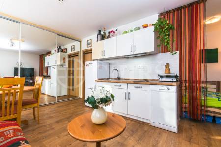 Prodej bytu 1+kk, OV, 33m2, ul. Ovčí hájek 2164/26, Praha 5 - Nové Butovice