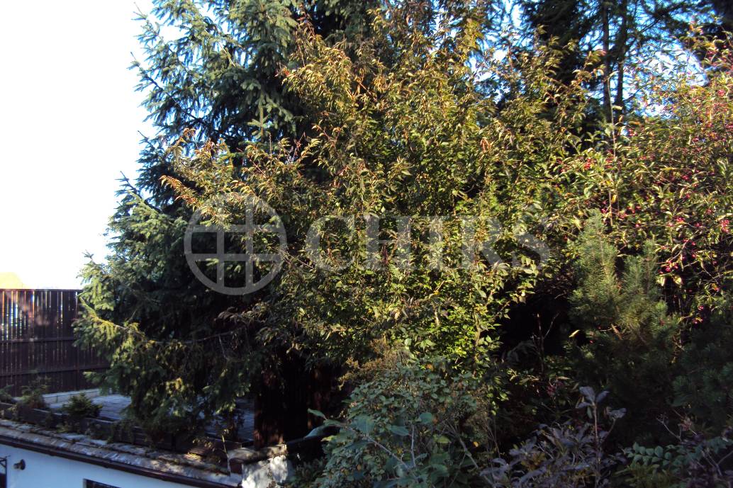 Prodej rodinného domu 3+1,1+kk, OV, 600 m2, ul. Nad Manovkou 555/21, Praha 6 Ruzyně 