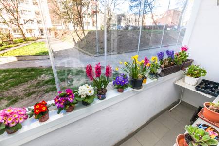 Prodej bytu 3+kk, DV, ul. Evropská 677/150, P-6 Vokovice