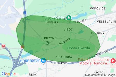 Koupíme byt 2kk, Praha 6 - Ruzyně, Dědina a okolí, Paříkovi