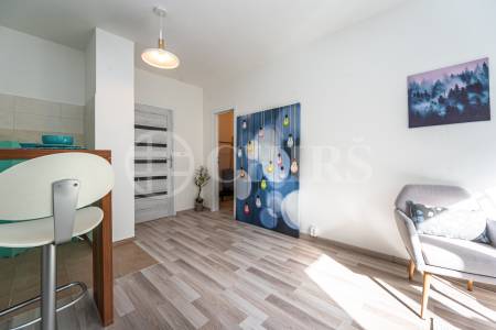 Prodej bytu 1+kk, DV, 29 m2, ul. Daškova 3086/26, Praha 4 - Modřany