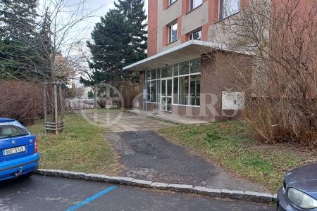Pronájem bytu 1+KK, OV, 27m2, ul. Narcisová 2849/6, P-10 Záběhlice
